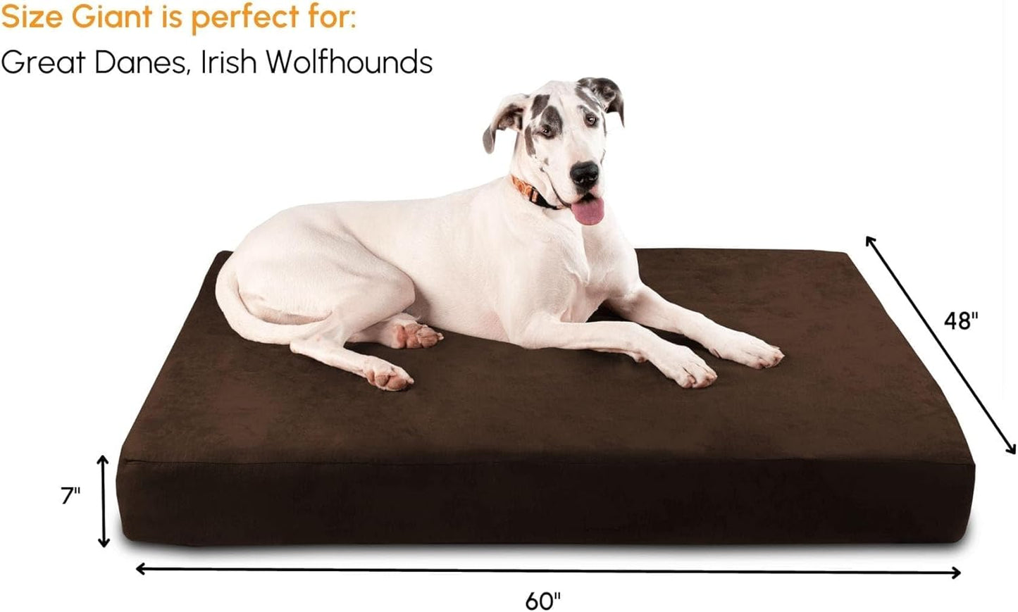 7" Pillow Top Orthopedic Dog Bed for Large and Extra Large Breed Dogs (Sleek Edition) (Giant (60 X 48 X 7), Chocolate)