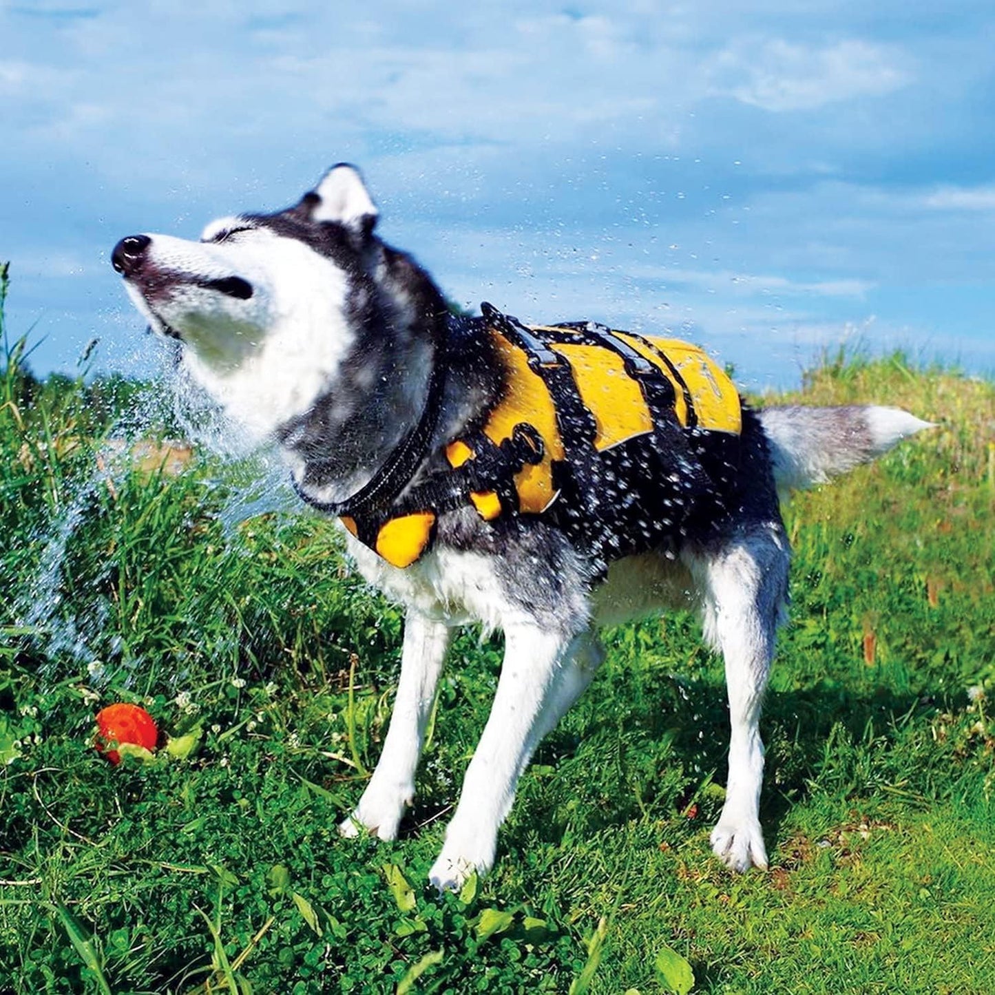 Doggy Flotation Device Dog Life Vest Jacket (DFD)